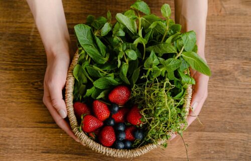Korb mit frischen Kräutern und Beeren